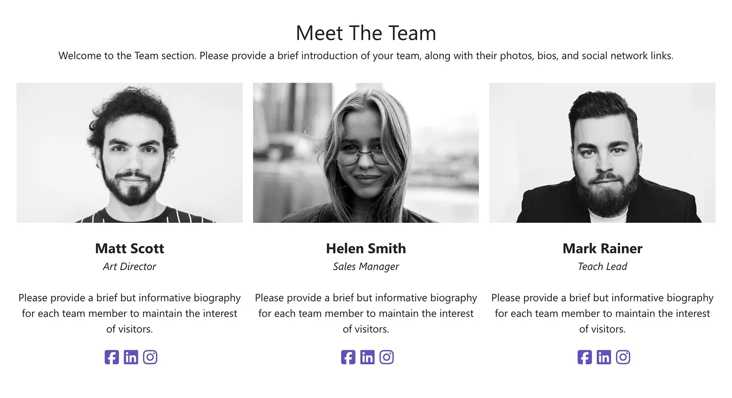 Meet The Team section with three black-and-white portraits, roles, bios and social icons