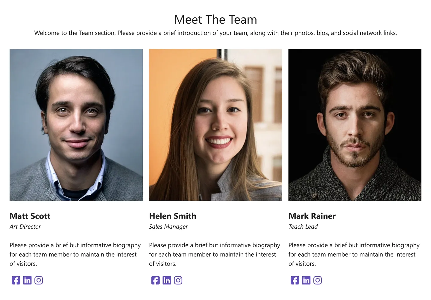 Meet The Team grid with three colour portraits, names, roles, bios and social icons