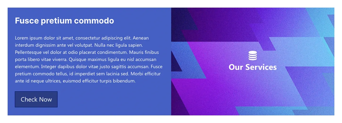 Service block with blue text panel and Check Now button beside a purple gradient graphic titled Our Services