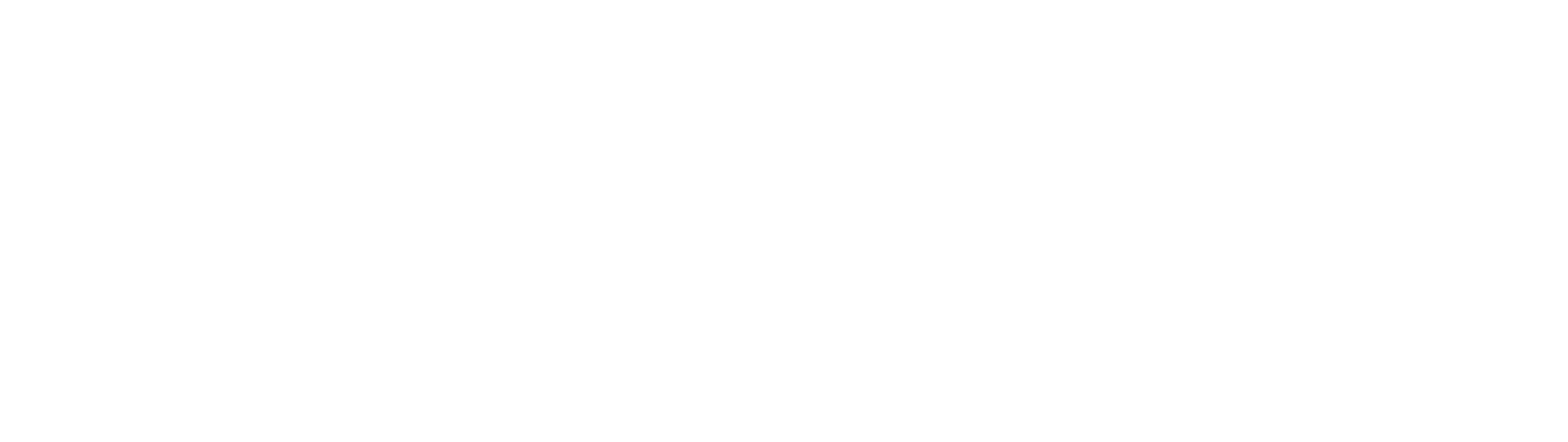 SAP Partner